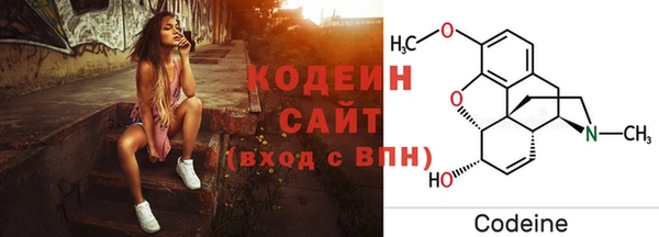 амф Верхний Тагил