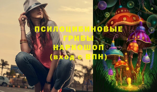 МДПВ Осинники