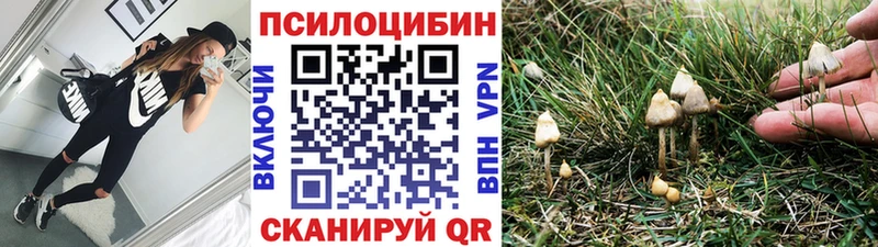 наркотики  hydra рабочий сайт  Псилоцибиновые грибы GOLDEN TEACHER  Новоалтайск 
