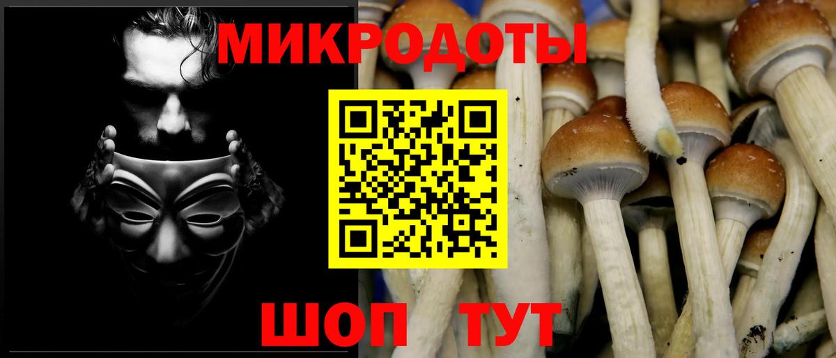 Галлюциногенные грибы GOLDEN TEACHER Новоалтайск