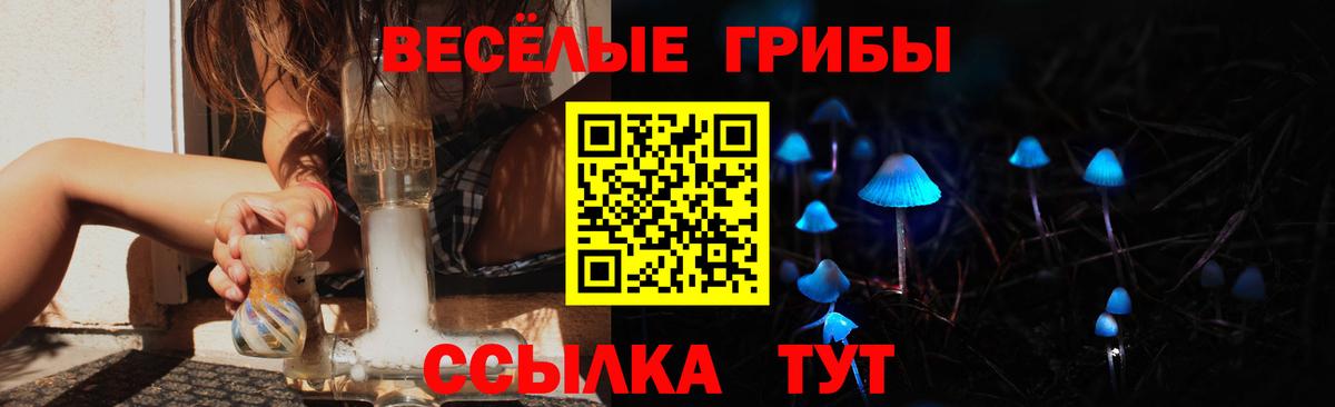 Псилоцибиновые грибы Magic Shrooms  Вход с VPN  Новоалтайск 