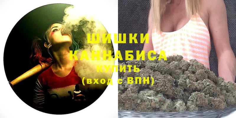 Шишки марихуана SATIVA & INDICA  купить наркоту  Новоалтайск 